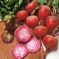 Unbranded Beetroot Seeds - Chioggia Pink