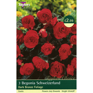 Unbranded Begonia Exotic Schweitzerland Bulbs