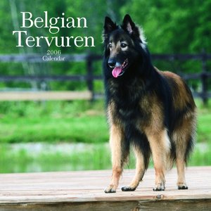 Belgian Tervuren Calendar