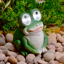 Unbranded Bright Eye Frog