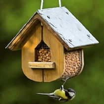 Unbranded C J Wild Bird Foods Jupiter Wooden Peanut Feeder