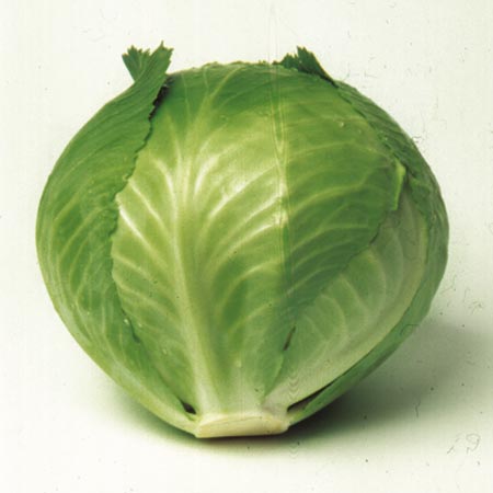 Unbranded Cabbage Lion F1 Seeds Average Seeds 90