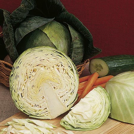 Unbranded Cabbage Minicole F1 Seeds Average Seeds 90