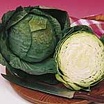 Unbranded Cabbage Puma F1 Seeds 433366.htm