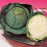 Unbranded Cabbage Puma F1 Seeds