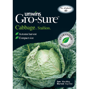 Unbranded Cabbage Stallion Vegetable Seeds