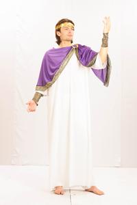 Beware the ides of March!!! Be the king of the Roman Empire. Costume includes robe, drape & head