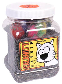 Pets Cats Catnip