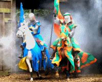 Camelot Theme Park Admission Family Ticket