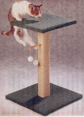 Canac Scratching Post with Top