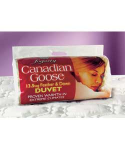 Canadian Goose Feather and Down 13.5 Tog Duvet - Single