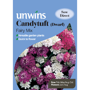 Unbranded Candytuft (Dwarf) Fairy Mixed Seeds
