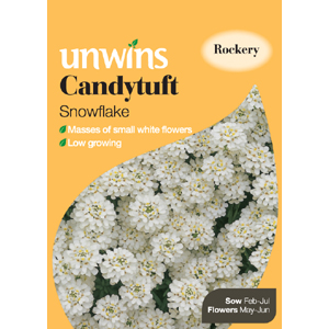 Unbranded Candytuft Snowflake Seeds