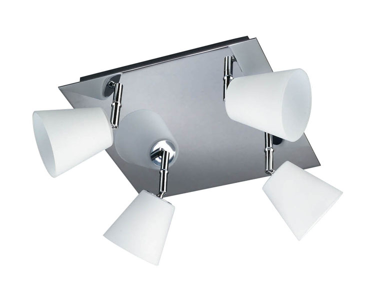 Unbranded Canis QUAD