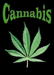 This Keyring measures 35 by 50mm. One of a range of Keyrings available at Oneposter.com