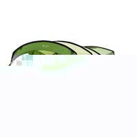 Unbranded Canopy Denim and Green