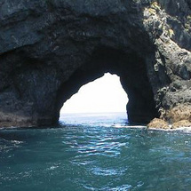 Discover the magic of the Bay of Islands with this cruise through the maritime park which is filled 