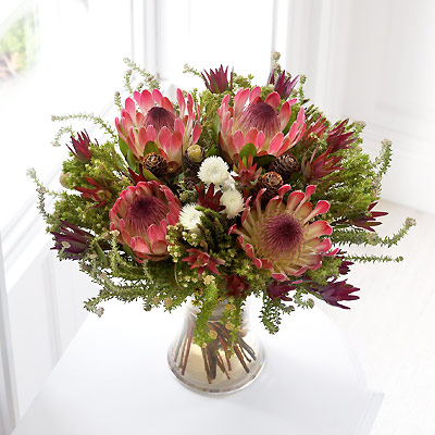 Unbranded Cape Flora Hand-tied