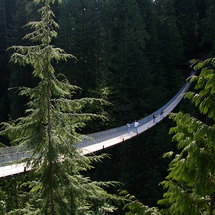 Unbranded Capilano Suspension Bridge - Adult