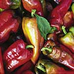 Unbranded Capsicum Beaver Dam Seeds 433627.htm