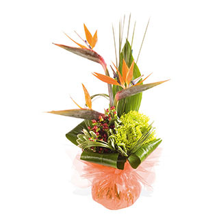 A captivating long lasting handtied arrangement featuring Birds of Paradise a very special bouquet t