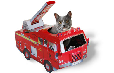 Unbranded Cardboard Classics Cat Playhouse Fire Engine