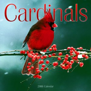 Cardinals Calendar