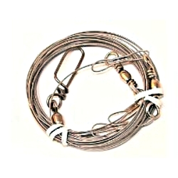 Unbranded Cardoc Shark Trace