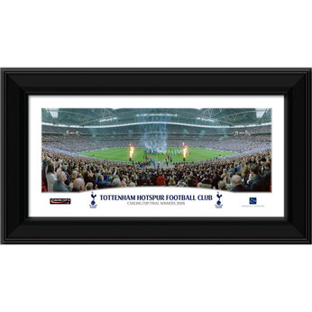 Unbranded Carling Cup Winners 2008 (12x7`)