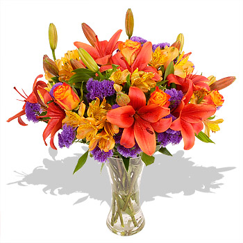 Unbranded Carnivale with FREE Bulbs - flowers