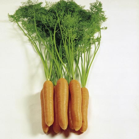 Unbranded Carrot Eskimo F1 Seeds Average Seeds 680