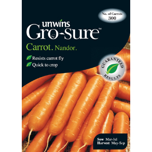 Unbranded Carrot Nandor Vegetable Seeds
