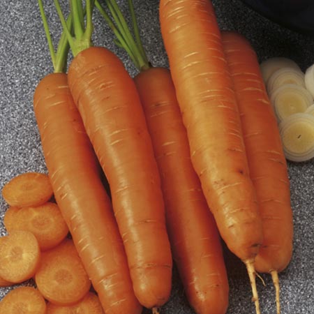 Unbranded Carrot Nantes 2 Mars - ORGANIC SEEDS Average