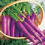 Unbranded Carrot Purple Haze F1 Seeds 433827.htm