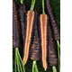 Unbranded Carrot Purple Haze Seeds
