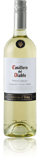 Unbranded Casillero del Diablo Pinot Grigio 2008 Casablanca Valley (75cl)