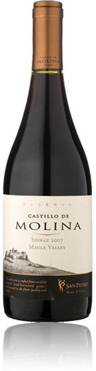 Unbranded Castillo de Molina Shiraz 2007 Maule Valley