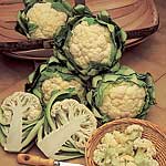 Unbranded Cauliflower All The Year Round Seeds - Triplepack
