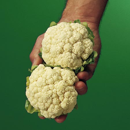 Unbranded Cauliflower Igloo Seeds Average Seeds 80