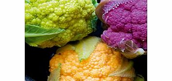 Unbranded Cauliflower Plants - Tri-colour Collection
