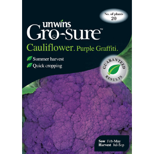 Unbranded Cauliflower Purple Graffiti Vegetable Seeds