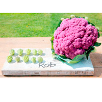 Unbranded Cauliflower Seeds - Purple Graffiti F1