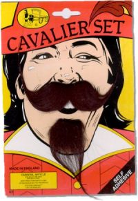 Cavalier Beard and Moustache