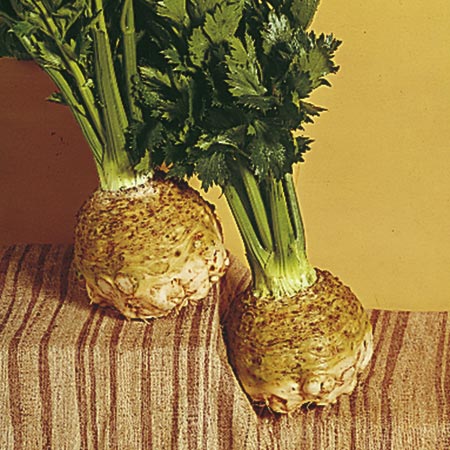 Unbranded Celeriac Brilliant Seeds Average Seeds 600