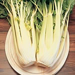 Unbranded Celery Loretta Seeds 434523.htm