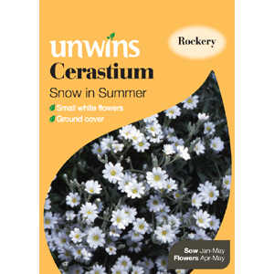 Unbranded Cerastium Snow in Summer Seeds