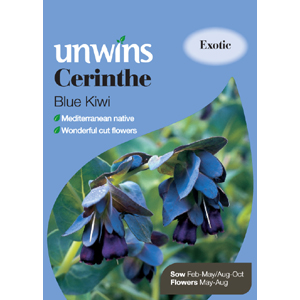 Unbranded Cerinthe Blue Kiwi Seeds