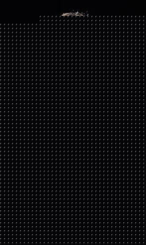 Chain and Mesh Bikini Thong Set