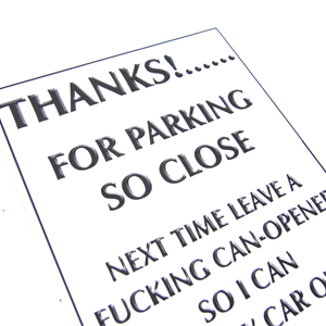 Unbranded Cheeky Memos Funny Parking Notes