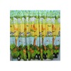 Unbranded Cheeky Monkey Curtains 72s